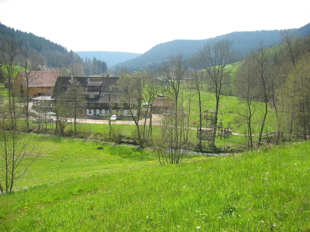 Landgasthof Untere Muehle Alpirsbach Exteriér fotografie