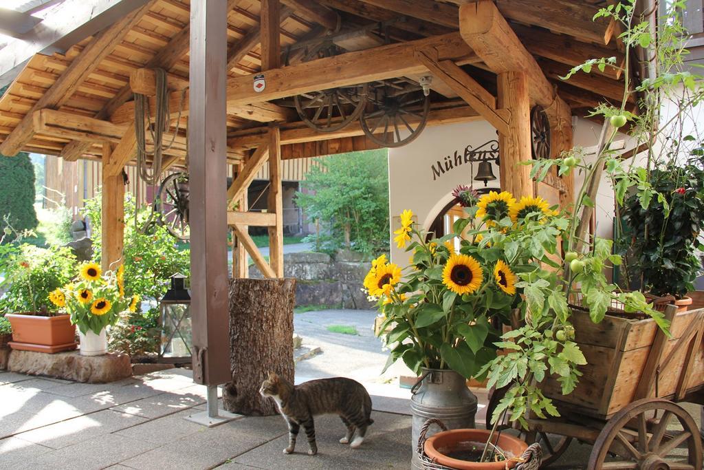 Landgasthof Untere Muehle Alpirsbach Exteriér fotografie
